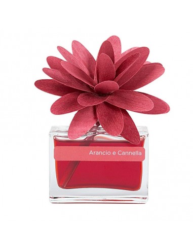 Fleurs Arancia & cannelle ouvre sa boutique