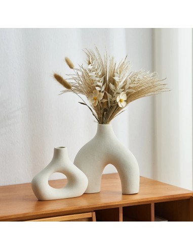 Duo de Vases en Céramique meilleur choix