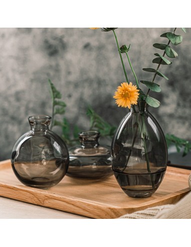 Lot de Vase en Verre sélection de produits