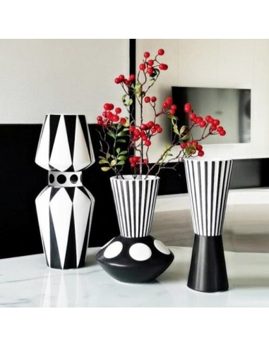 Vase Noir et Blanc 2024