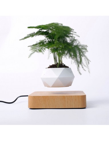 Vase en Levitation En savoir plus