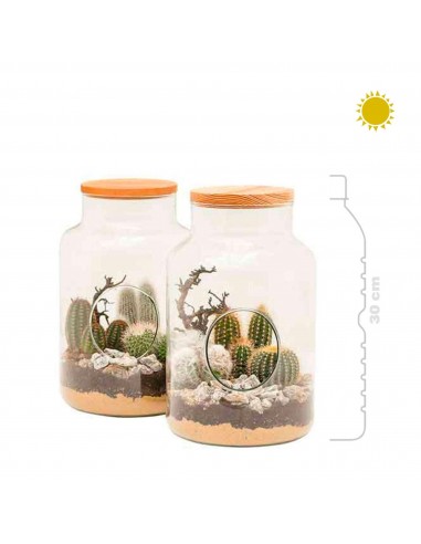 Terrarium vous aussi creer 