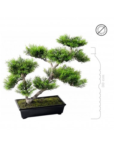 Bonsai pin nuage de pas cher