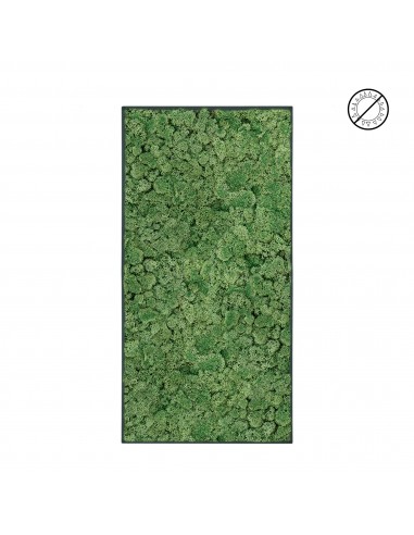 Tableau lichen vert mint 100x50 Pour