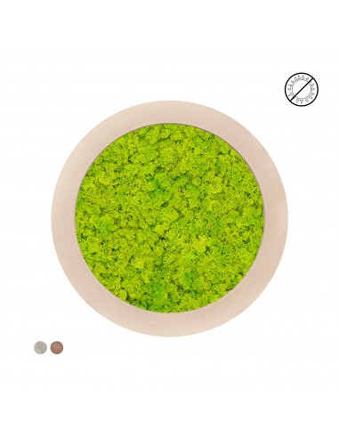 Tableau rond Lichen Vert printemps 80 meilleur choix