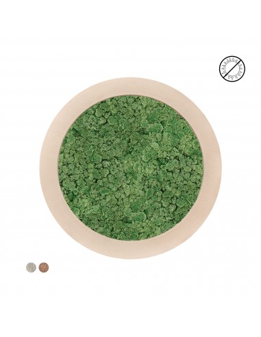 Tableau rond lichen vert 80 de la marque