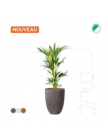 Kentia Capi Nature 46 pour bénéficier 